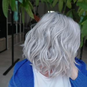 kolor: TT2/Grey Silver